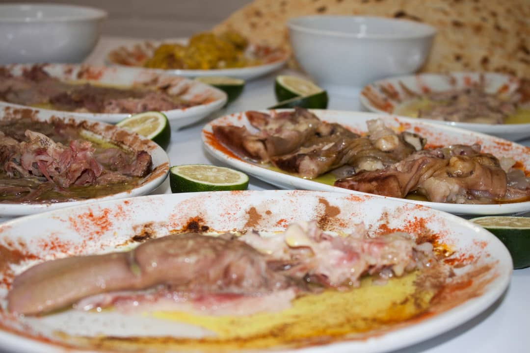 طباخی بره سفید در تهران