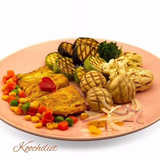 وعده‌های رژیمی کترینگ رژیمی کوچ