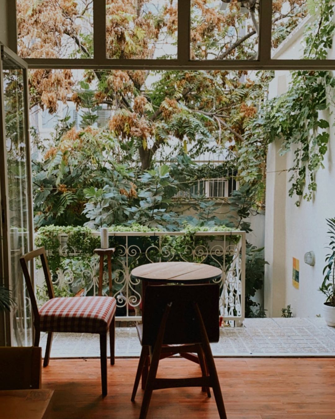 کافه روباز حیاط شماره 65