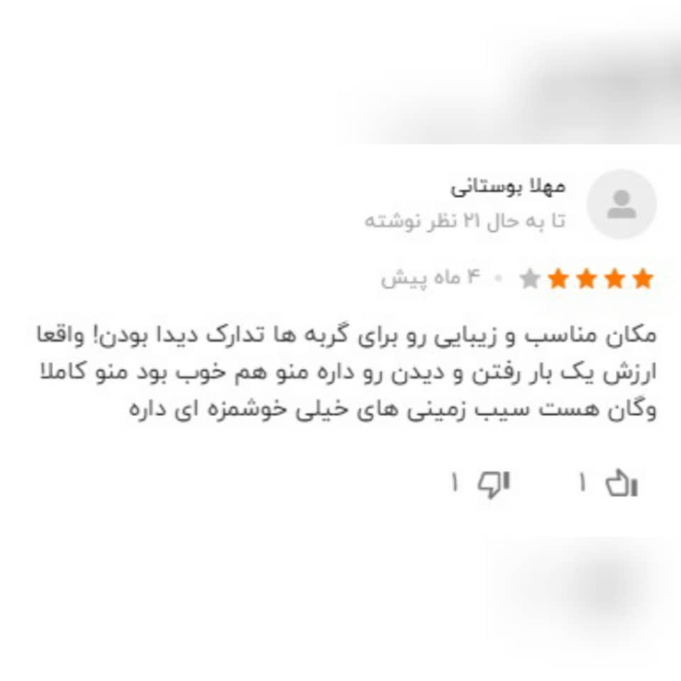 نظرات کاربران راجع به کافه گربه ایرانی 1