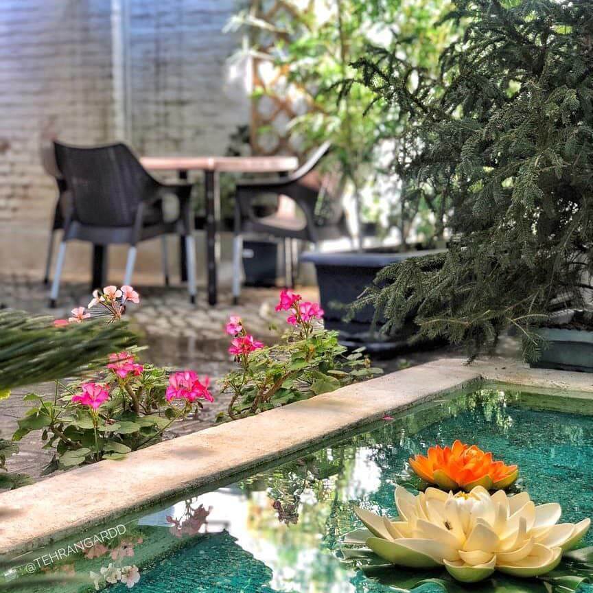 حیاط کافه قدیمی رف