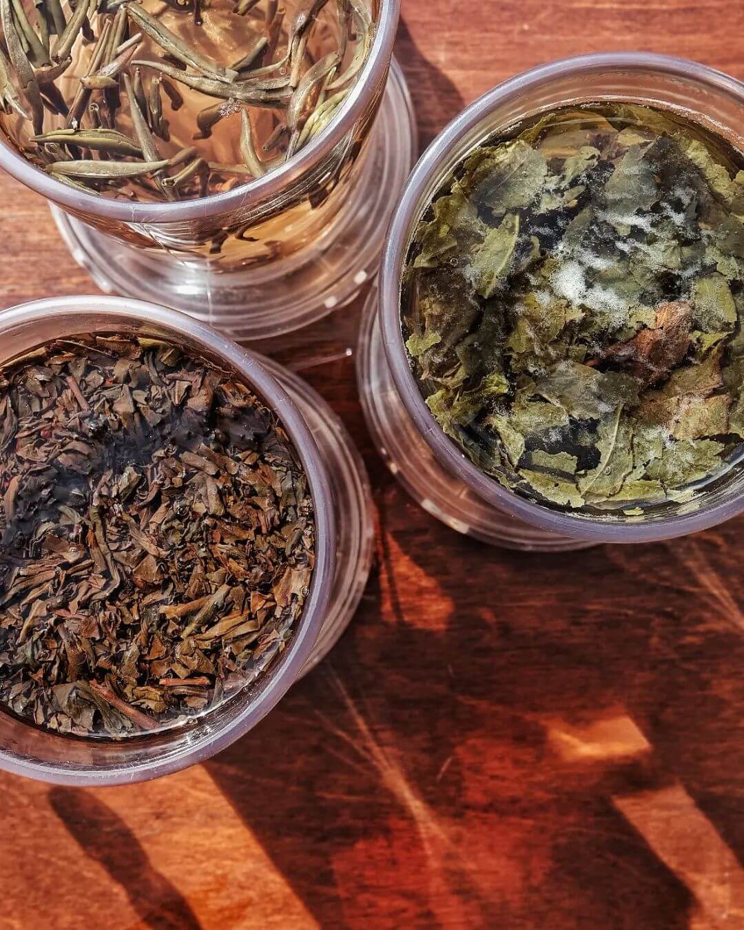 چای‌های گیاهی کافه چای در کریمخان